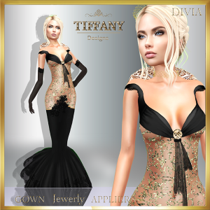 td-divia-gown-with-appliers-black