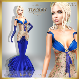 td-divia-gown-with-appliers-blue