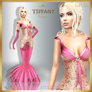 td-divia-gown-with-appliers-pink