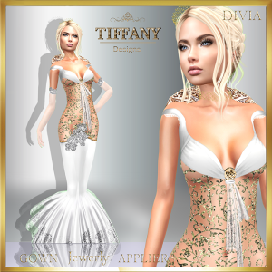 td-divia-gown-with-appliers-white